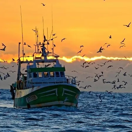 Refait A Neuf Avec Terrasse, Piscine, Parking Et Lave-linge - - Fr-1-307-249 * Le Grau-du-Roi