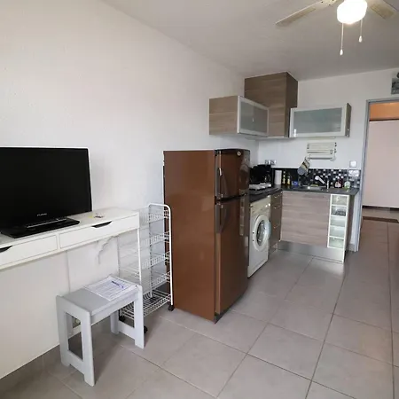 Apartment Refait A Neuf Avec Terrasse, Piscine, Parking Et Lave-linge - - Fr-1-307-249